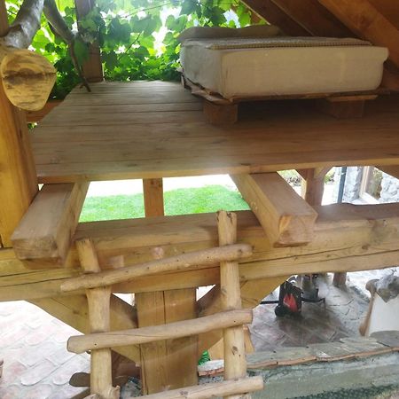 Natur Apartma Rudi ゴレンスカ地方 エクステリア 写真