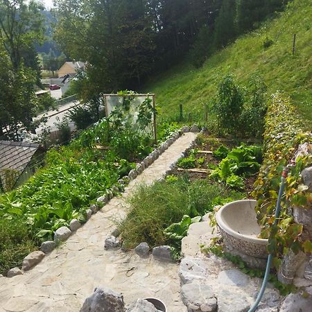 Natur Apartma Rudi ゴレンスカ地方 エクステリア 写真