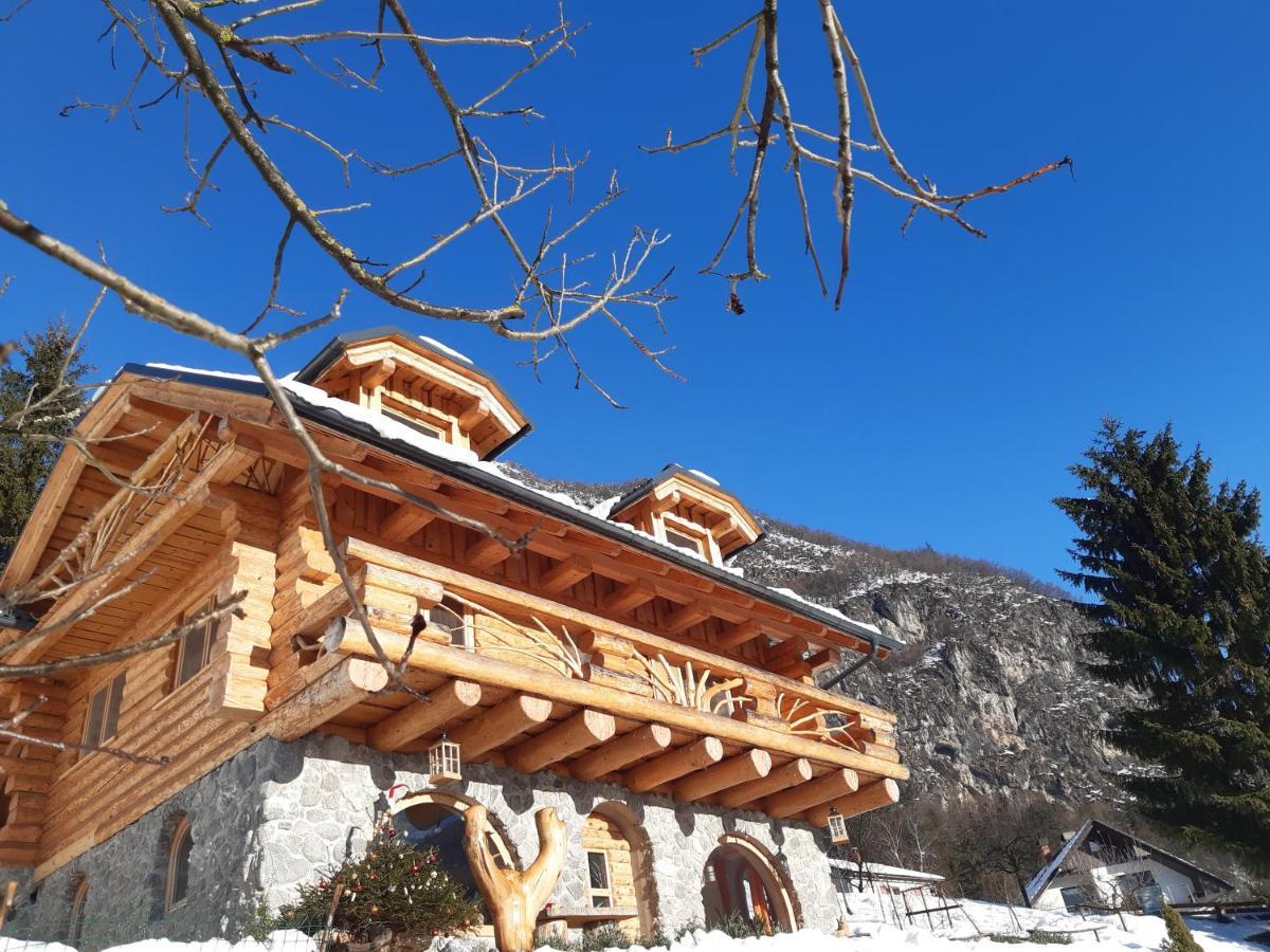 Natur Apartma Rudi ゴレンスカ地方 エクステリア 写真
