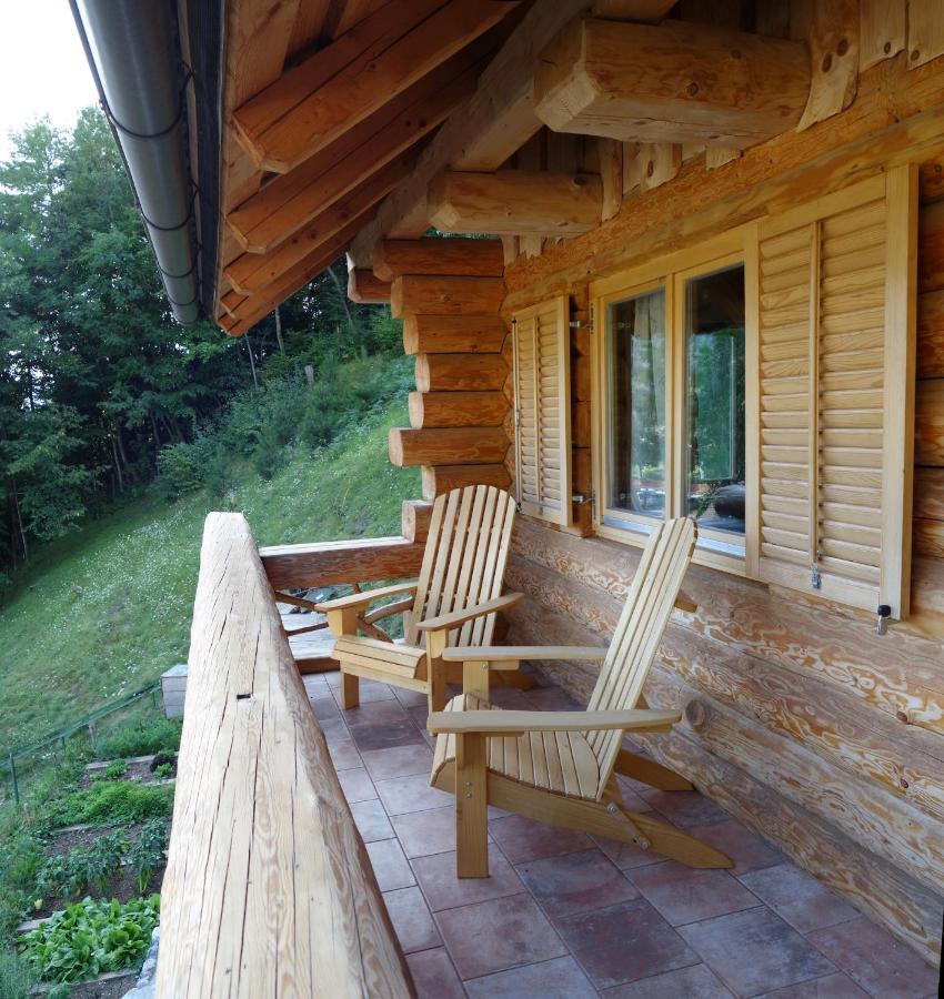 Natur Apartma Rudi ゴレンスカ地方 エクステリア 写真