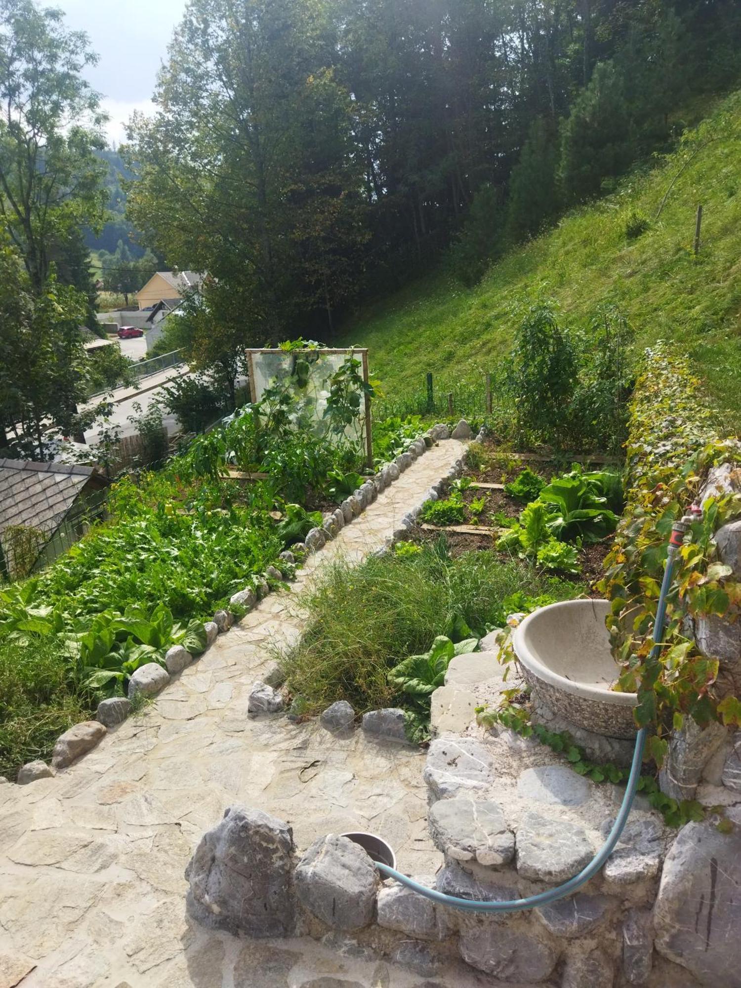 Natur Apartma Rudi ゴレンスカ地方 エクステリア 写真